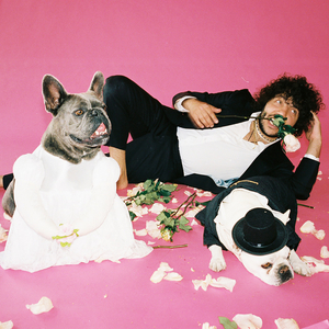 鲁大师m3u80在线播放器
