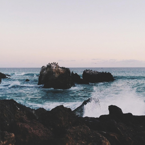 鲁大师m3u80在线播放器
